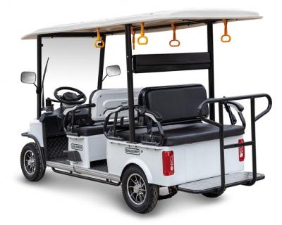 Гольф-кар мини Gelbert Fact 60V 1200Вт
