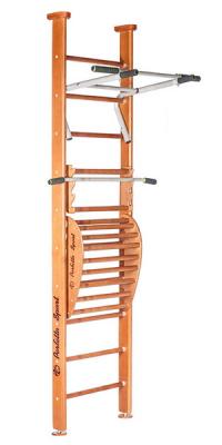 Детский спортивный комплекс (ДСК) Perfetto sport Salute PS-101 с тренажером Vinsere