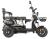 Электротрицикл Wanshida UN MOTO 60V 650Вт Электротрицикл Wanshida UN MOTO 60V 650Вт