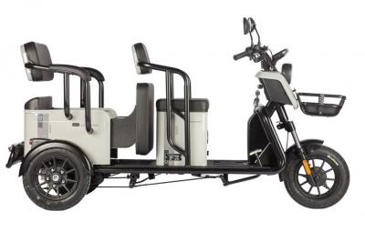 Электротрицикл Wanshida LC300 60V 1000Вт