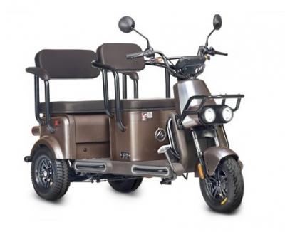 Электротрицикл Wanshida U1-X 60V 800Вт