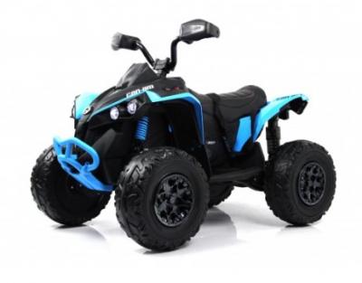 Детский электроквадроцикл BRP Can-Am Renegade (Y333YY)