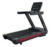 Профессиональная беговая дорожка PROFIGYM