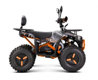 Квадроцикл YACOTA SIRIUS 2000W