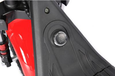 Электротрицикл WHITE SIBERIA TRIKE MINI RED 1500W Шоссейные колёса