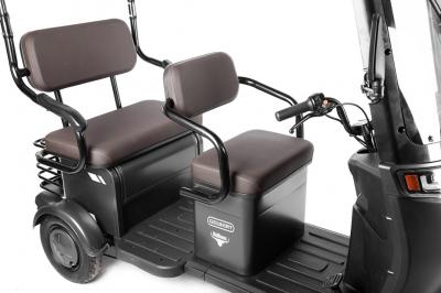 Электротрицикл Rutrike Gelbert Bos 48V/60V 800Вт