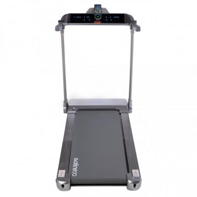 Беговая дорожка EVO FITNESS Delta NEW