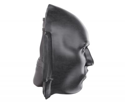 Боксерская лапа DFC Mask-Punching Mitt TLS-J