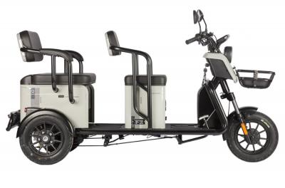 Электротрицикл Wanshida LC300 60V 1000Вт