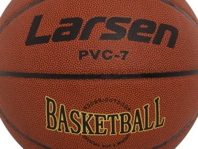 Мяч баскетбольный Larsen PVC7