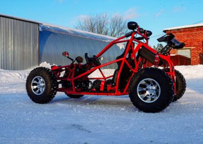 Кросс карт RISE STAR DUAL (2-х местный детский)