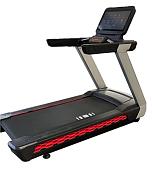 Профессиональная беговая дорожка PROFIGYM с мультимедийным экраном 21,5"