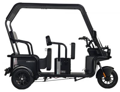 Электротрицикл Wanshida NIPLA 570 60V 1000Вт