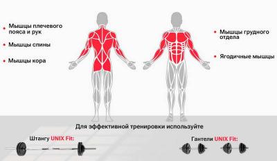 Скамья силовая универсальная UNIX Fit BENCH 130