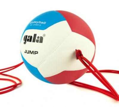 Мяч волейбольный GALA Jump 12, на растяжках, размер 5