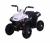 Детский электроквадроцикл T111TT