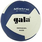 Мяч волейбольный GALA Mistral 12 BV5665S, размер 5