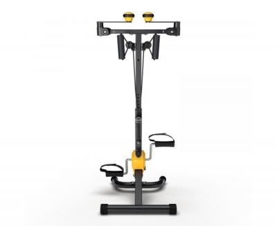 Велотренажер двойной DFC B810W / B810Y dual bike