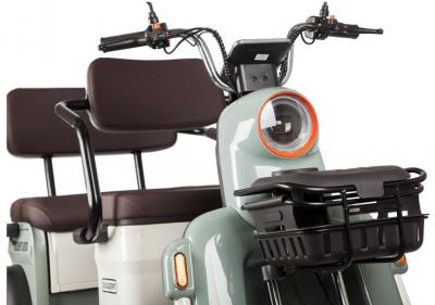 Электротрицикл Rutrike Gelbert Beta 48V/60V 800Вт