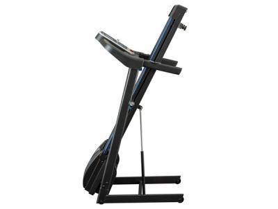 Беговая дорожка XTERRA FITNESS TR180