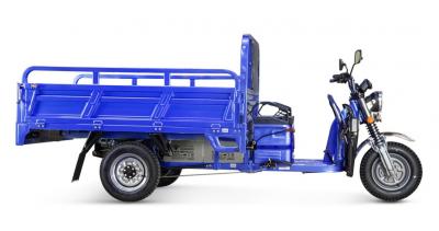 Грузовой электрический трицикл Rutrike Эксперт ПРО 2000