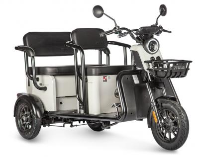 Электротрицикл Wanshida LC300 60V 1000Вт