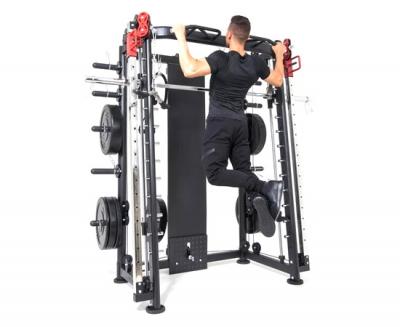 Мультистанция, машина Смита DFC Gorilla Sport 100822