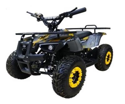 Детский электро квадроцикл GRIZLIK Х16 NEW E1000 BW