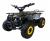 Детский электро квадроцикл GRIZLIK Х16 NEW E1000 BW