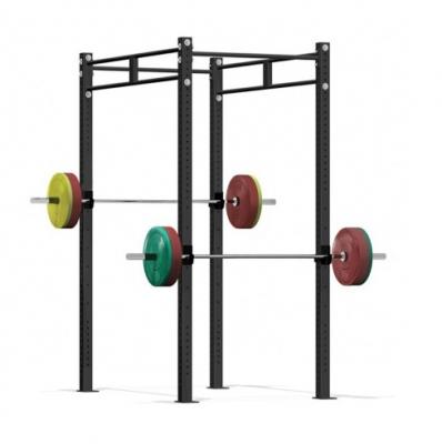 Функциональная рама автономная CrossFit SP CRF2