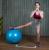Мяч гимнастический PRCTZ GYM BALL ANTI-BURST, 75 см. Мяч гимнастический PRCTZ GYM BALL ANTI-BURST, 75 см.
