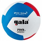Мяч волейбольный GALA Pro-Line 12 FIVB, BV5595S, размер 5