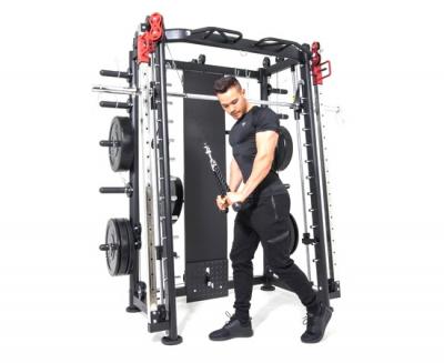 Мультистанция, машина Смита DFC Gorilla Sport 100822