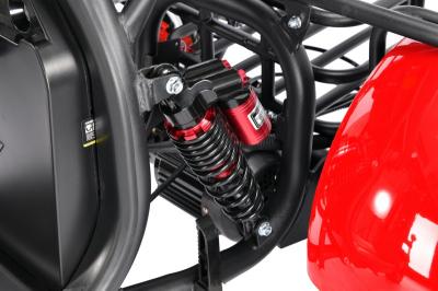 Электротрицикл WHITE SIBERIA PRO TRIKE 3000W RED