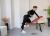 Скамья силовая универсальная UNIX Fit BENCH 130P