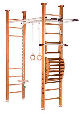 Детский спортивный комплекс (ДСК) Perfetto sport Molto PS-107 с тренажером Vinsere