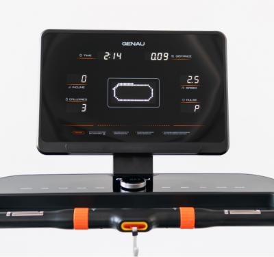 Беговая дорожка GENAU Nordic Z1