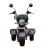 Электротрицикл WHITE SIBERIA TRIKE MINI BLACK 1500W Шоссейные колёса Электротрицикл WHITE SIBERIA TRIKE MINI BLACK 1500W Шоссейные колёса