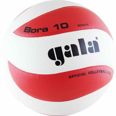Мяч волейбольный GALA Bora 10 BV5671S