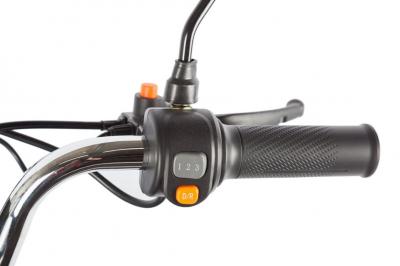 Электротрицикл Rutrike Gelbert Beta 48V/60V 800Вт
