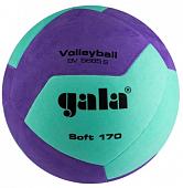 Мяч волейбольный GALA 170 Soft 12, облегченный, TPE, размер 5