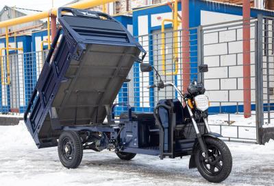 Грузовой электротрицикл Rutrike D4 1800 60V1200W