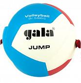 Мяч волейбольный GALA Jump 12, на растяжках, размер 5