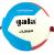 Мяч волейбольный GALA Jump 12, на растяжках, размер 5 Мяч волейбольный GALA Jump 12, на растяжках, размер 5