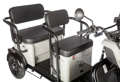 Электротрицикл Wanshida UM+ 60V 1000Вт