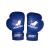 Перчатки боксерские на липучке Leosport