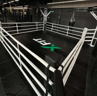 Ринг боксерский в раме Gym in one BR4
