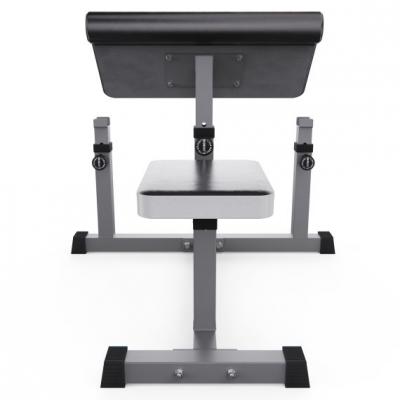 Скамья Скотта DFC Homegym AY001