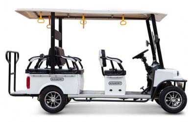 Гольф-кар мини Gelbert Fact 60V 1200Вт