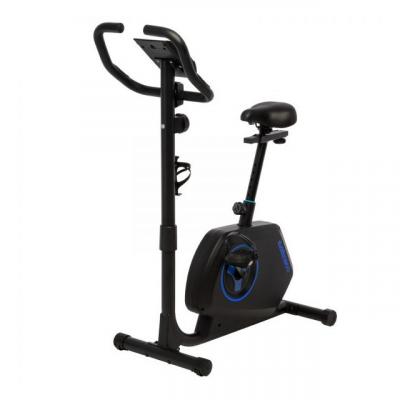 Велотренажер EVO FITNESS Ametist магнитный